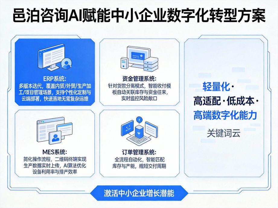 邑泊咨询 定制化专属云ERP数据库系统，贴合企业架构的深度数据赋能