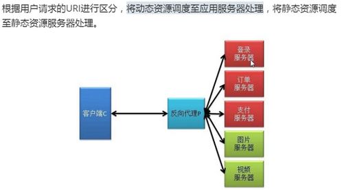 ngxin代理服务基本概述