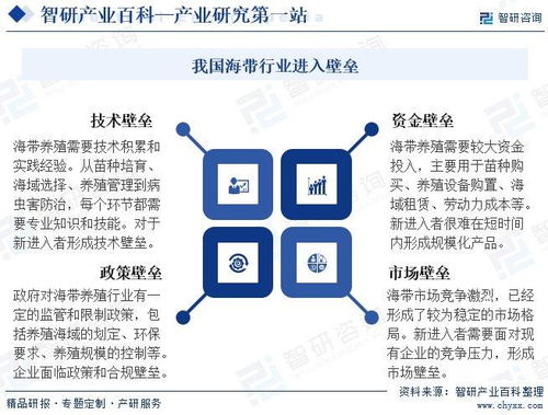 海带产业百科 发展环境深度解析与未来趋势预测